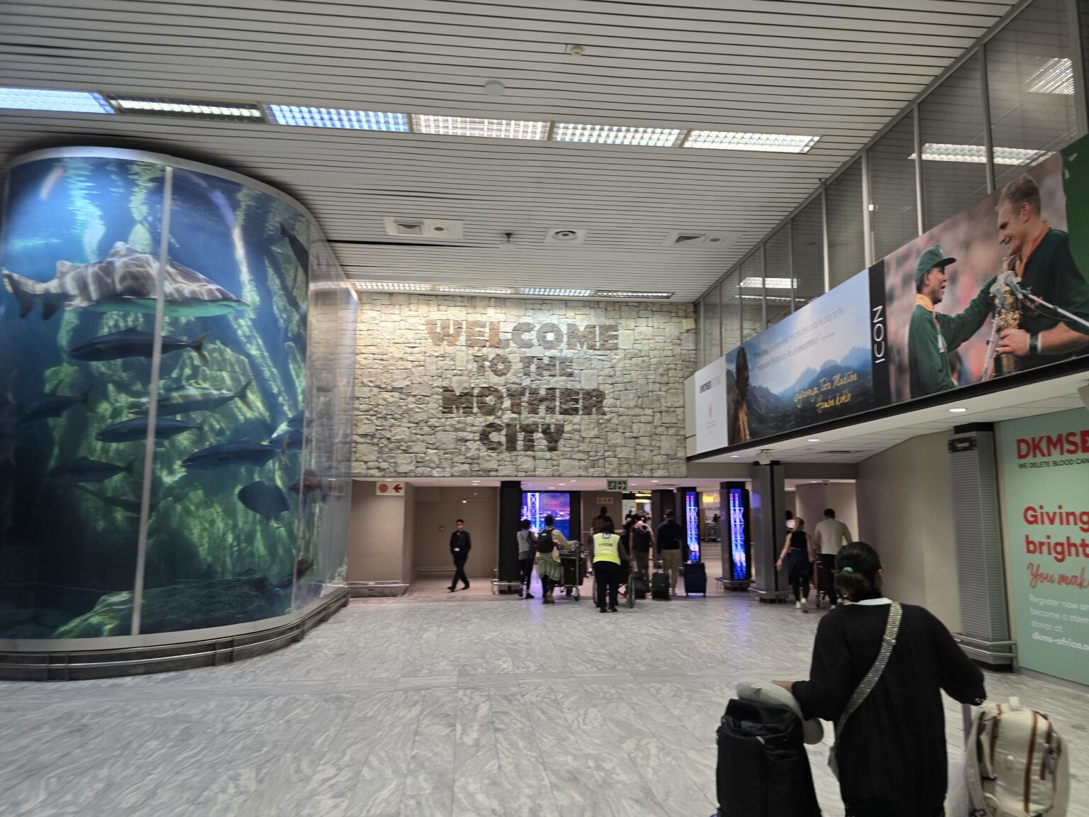 The Best Cape Town Shuttle Services & Private Transfers for Tours Cape Town International Airport