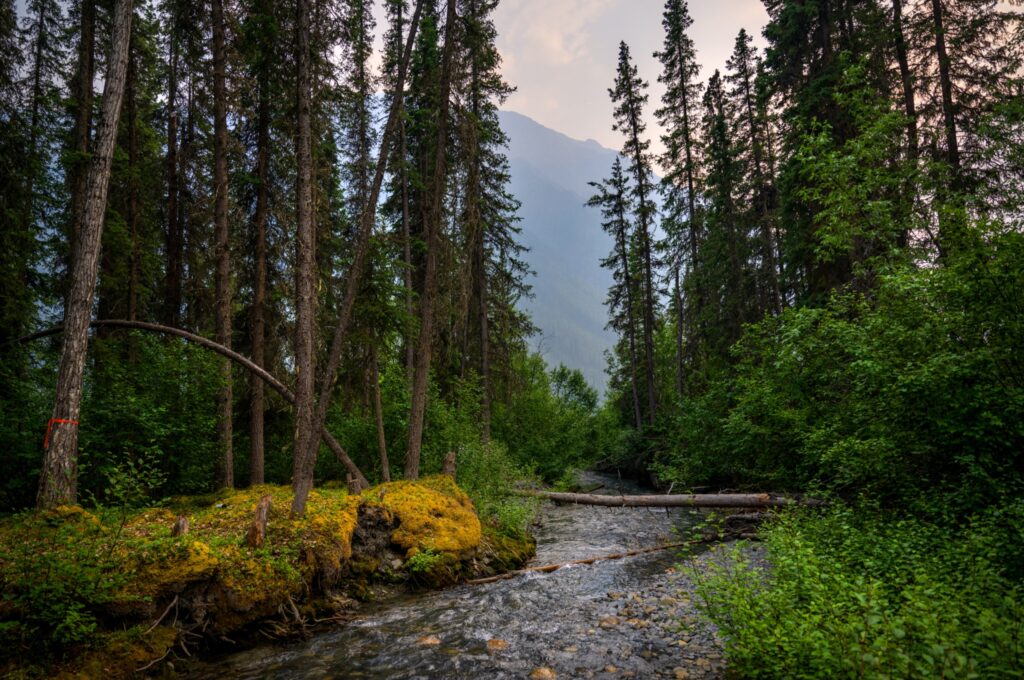 Top Places to Visit in Canada: A Guide to Must-See Destinations 7 Exploring Nature in the Northwest Territories